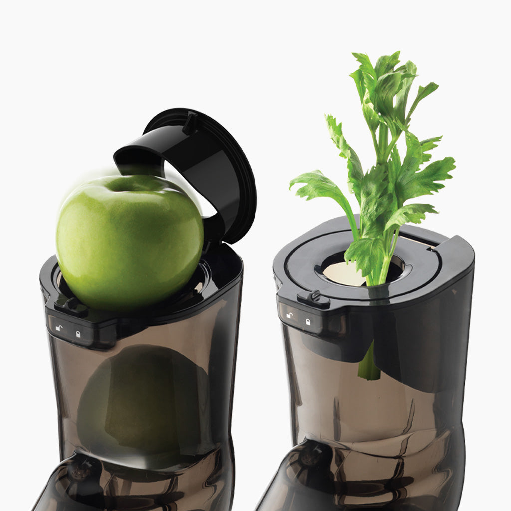 Kuvings E8000 Whole Slow Juicer with Dual Feeding Chute for Cold Press Masticating Juice